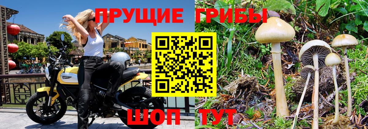 цены наркотик  Галлюциногенные грибы мухоморы  Вход с VPN  Воркута 