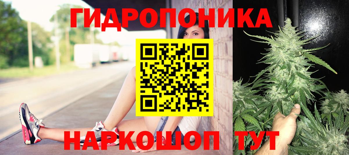 МАРИХУАНА планчик Воркута
